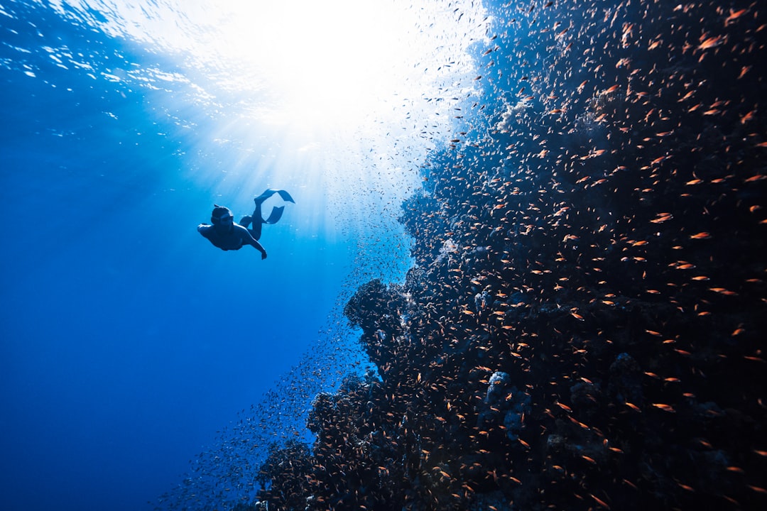 Unlocking the World: A Guide to Embracing the Great Outdoors on a Budget